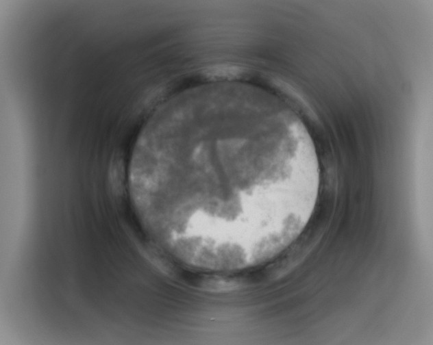 X0000112970498200910081048