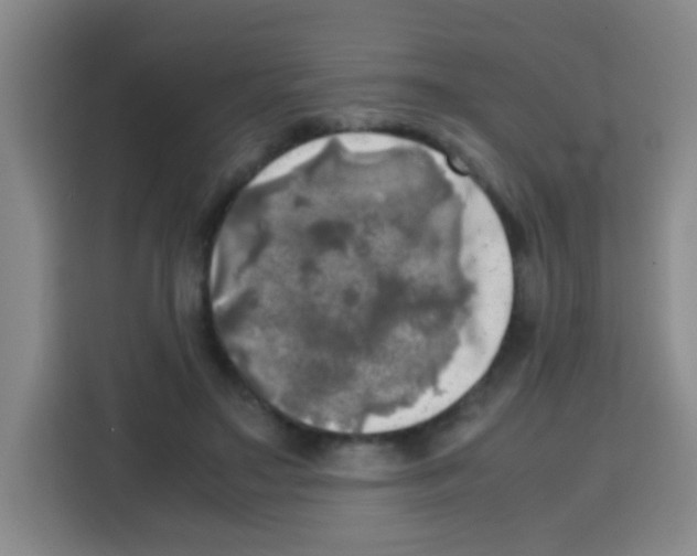X0000112970499200910081048