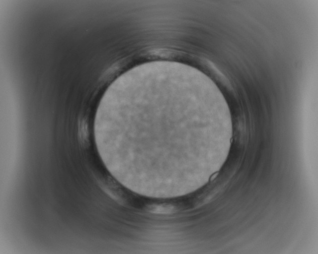 X0000112970500200910081048