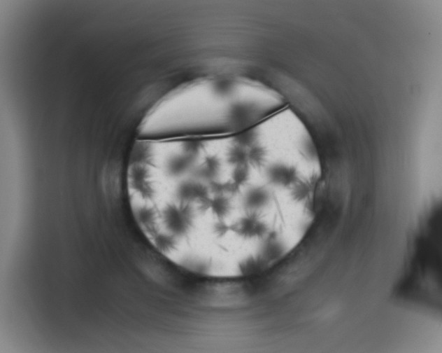 X0000112970501200910081048