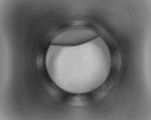 X0000112970504200910081048