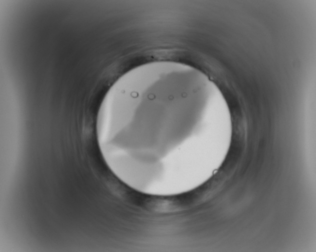 X0000112970507200910081048