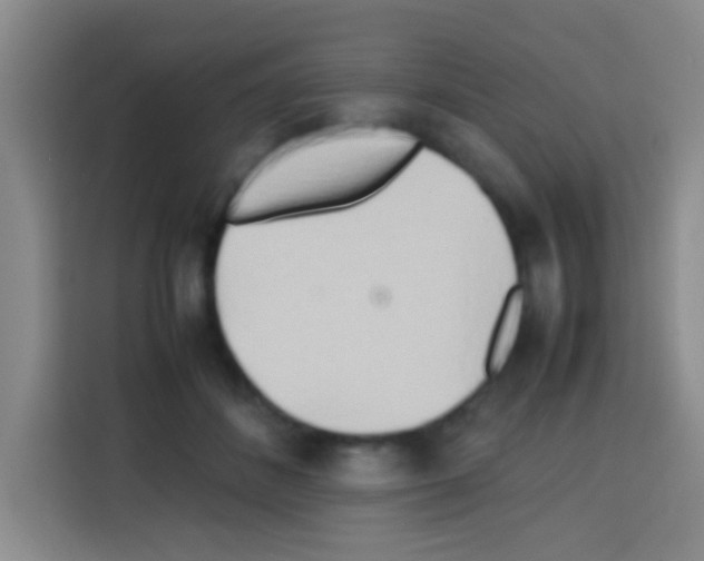 X0000112970508200910081048