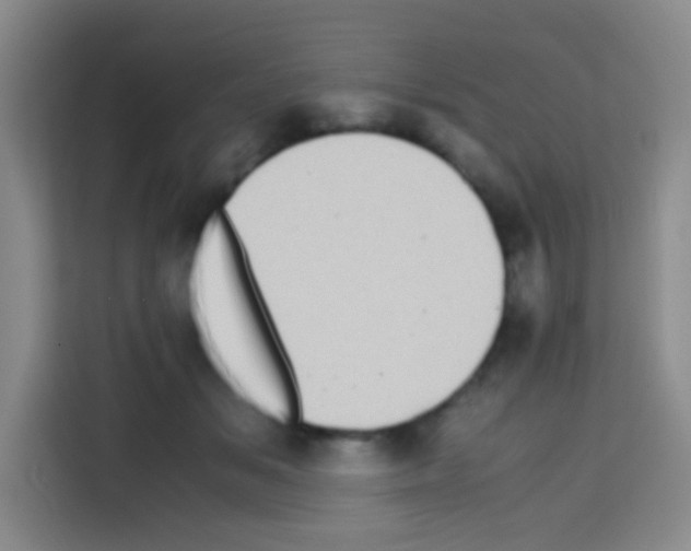 X0000112970509200910081048