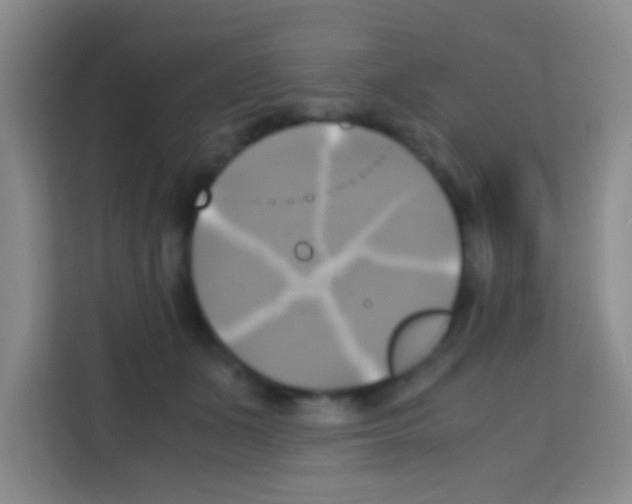 X0000112970511200910081048
