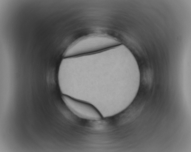 X0000112970512200910081048