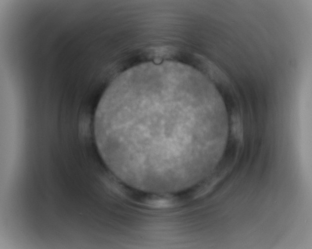 X0000112970514200910081048