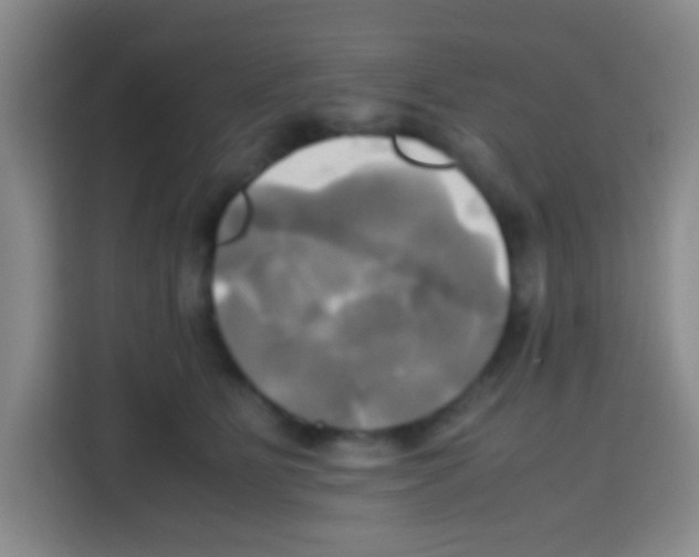 X0000112970515200910081048