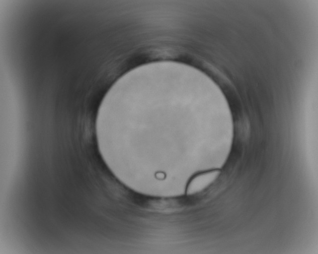 X0000112970517200910081048