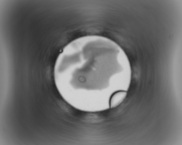 X0000112970519200910081048