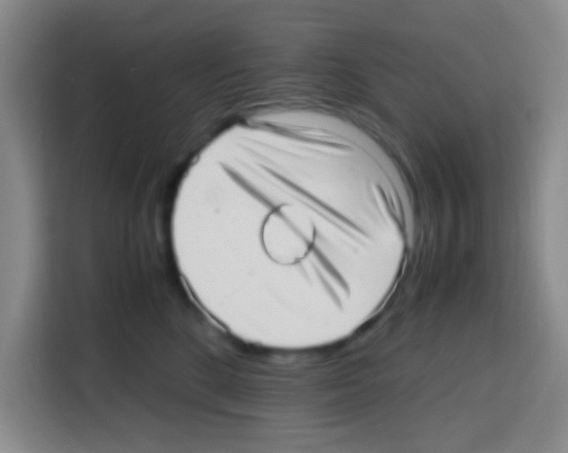 X0000112970520200910081048