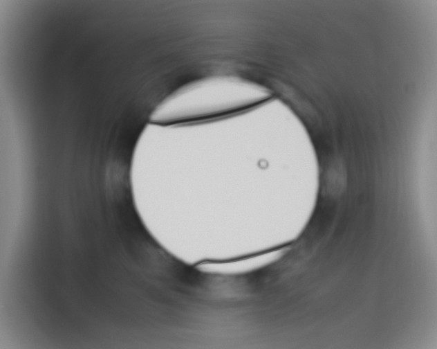 X0000112970521200910081048