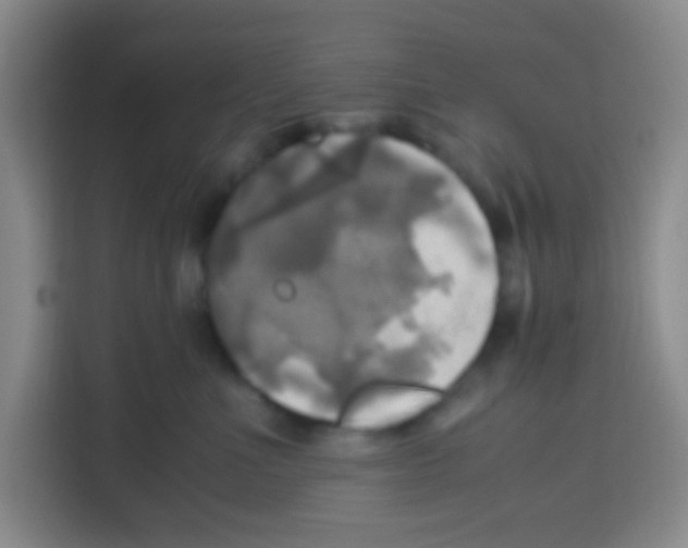 X0000112970523200910081048