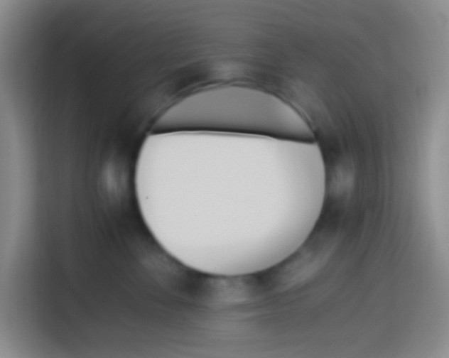 X0000112970524200910081048