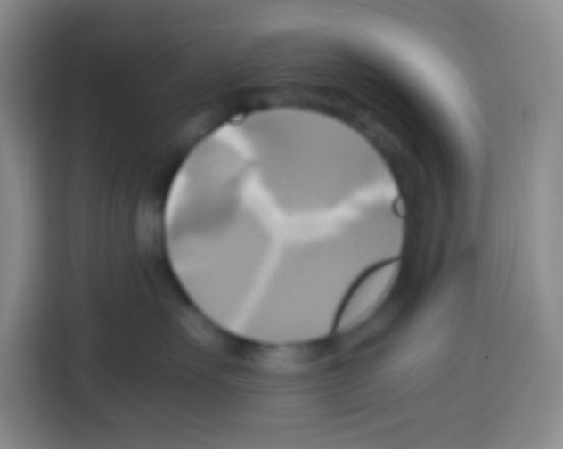 X0000112970527200910081048