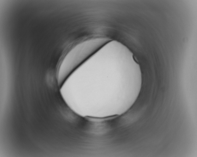 X0000112970528200910081048