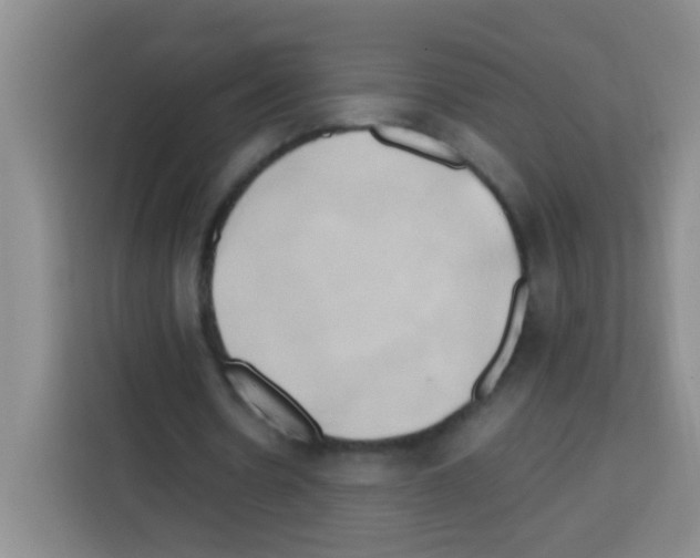 X0000112970530200910081047