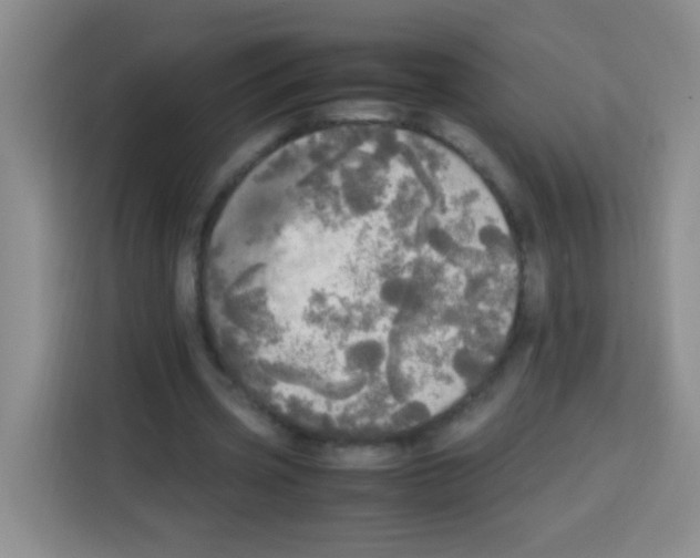 X0000112970533200910081047