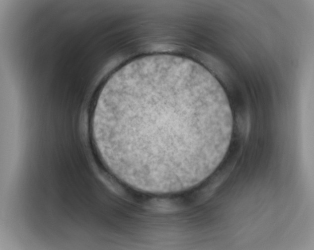 X0000112970534200910081047