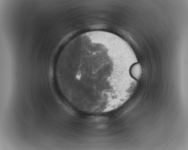 X0000112970539200910081047
