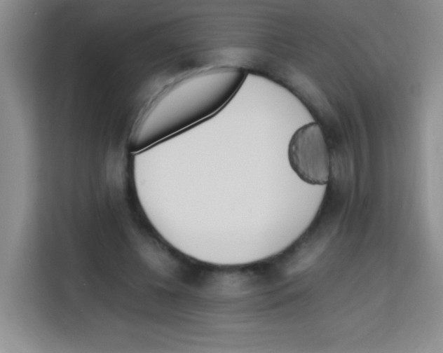 X0000112970540200910081047