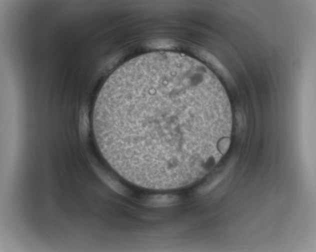 X0000112970541200910081047