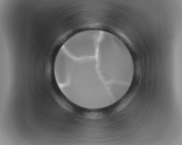X0000112970542200910081047