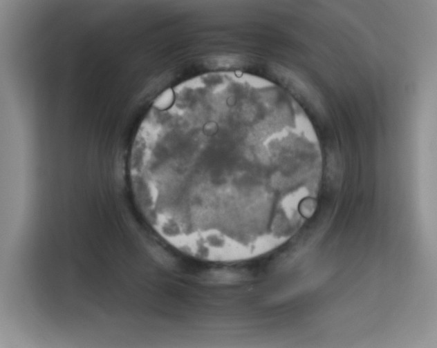 X0000112970545200910081047