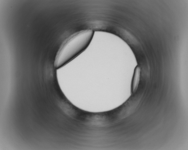 X0000112970546200910081047