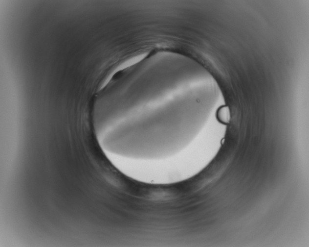 X0000112970547200910081047