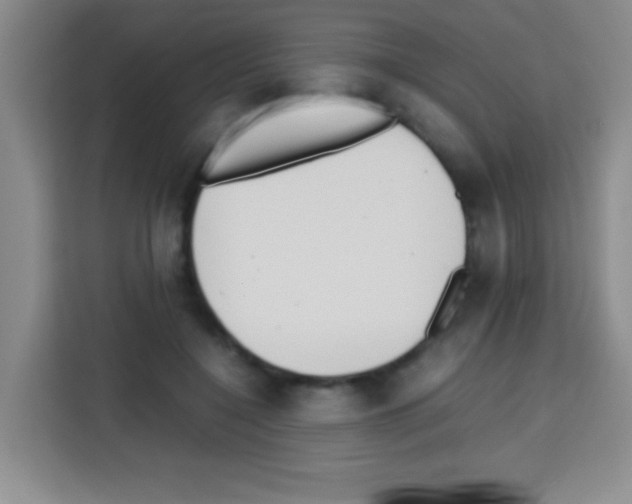 X0000112970548200910081047
