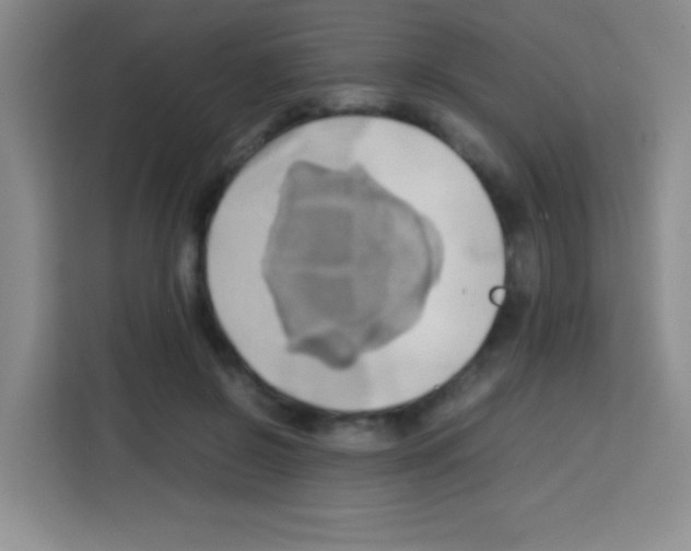 X0000112970550200910081047