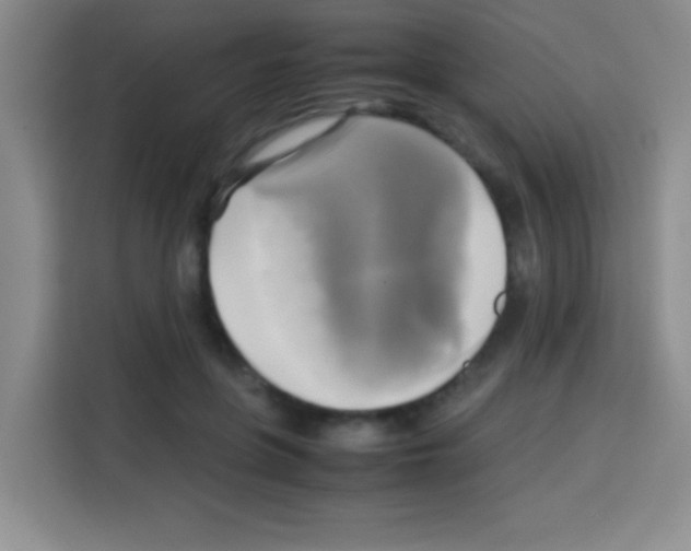 X0000112970551200910081047
