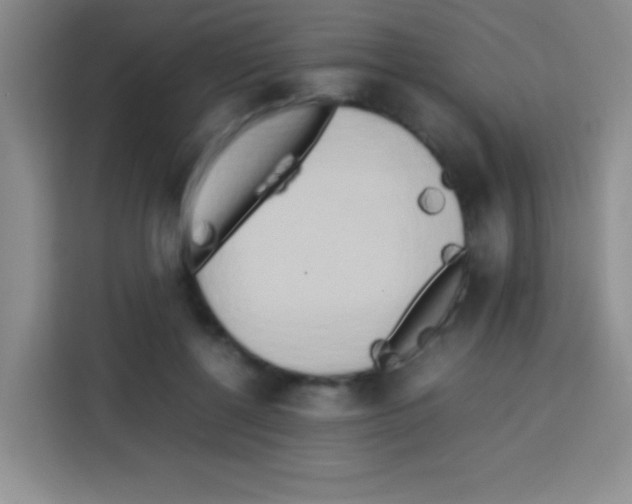 X0000112970552200910081047