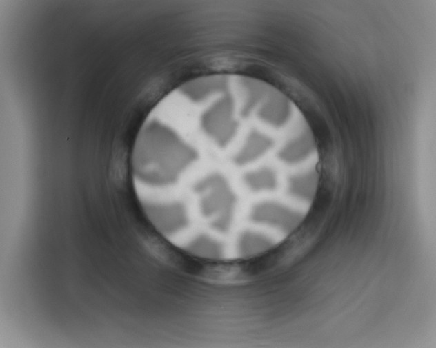 X0000112970554200910081047
