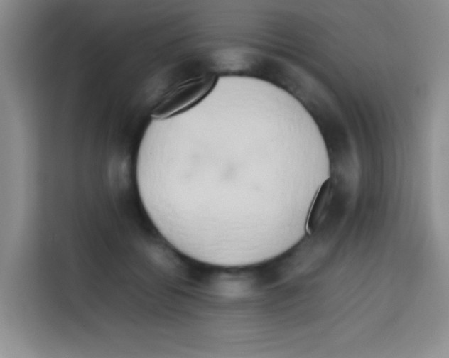 X0000112970556200910081047