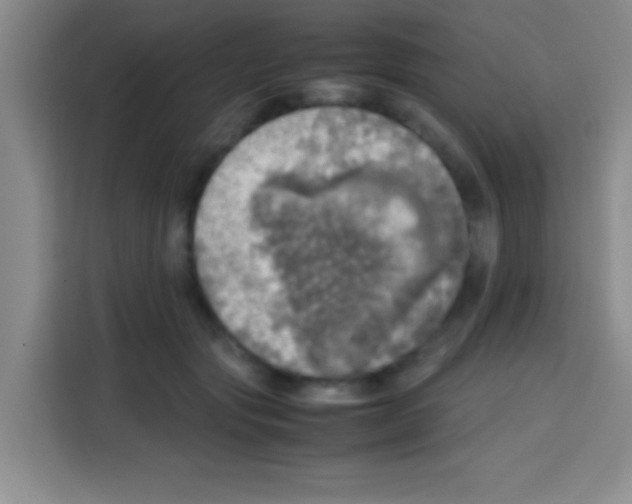 X0000112970557200910081048