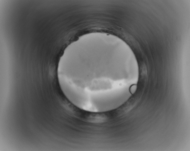 X0000112970559200910081048