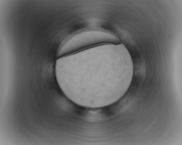 X0000112970560200910081048