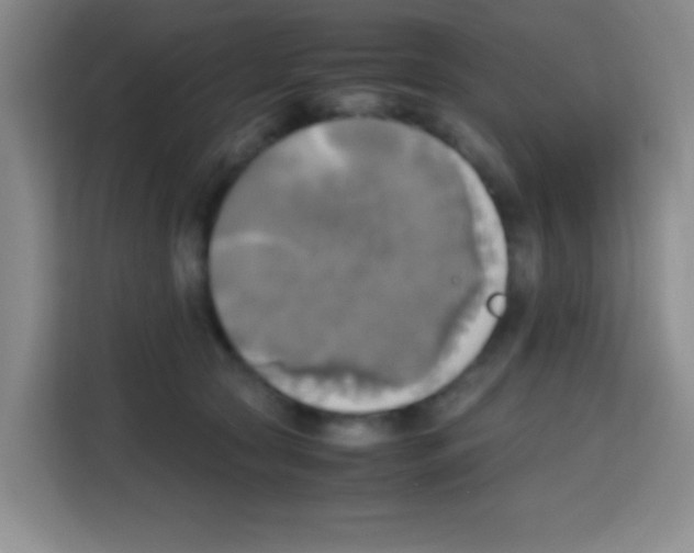 X0000112970561200910081048