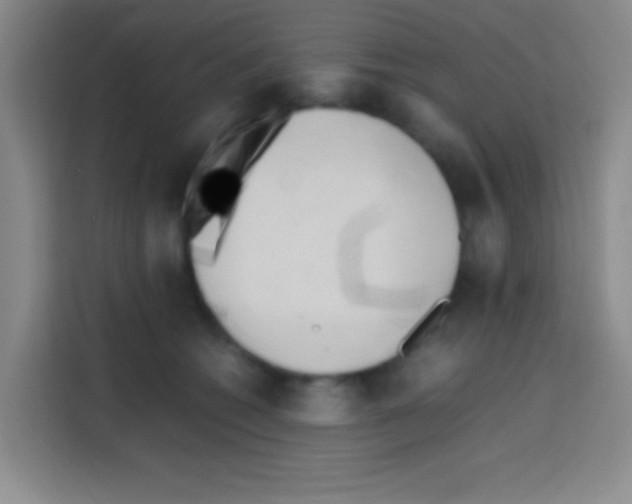 X0000112970562200910081048