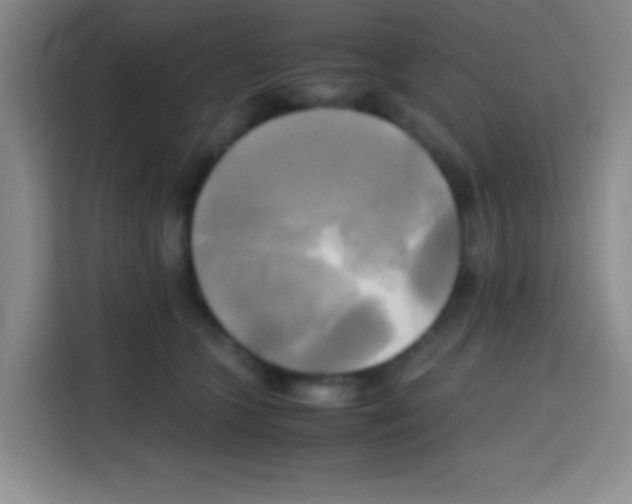 X0000112970563200910081048