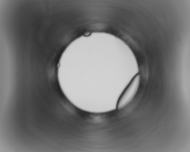 X0000112970564200910081048