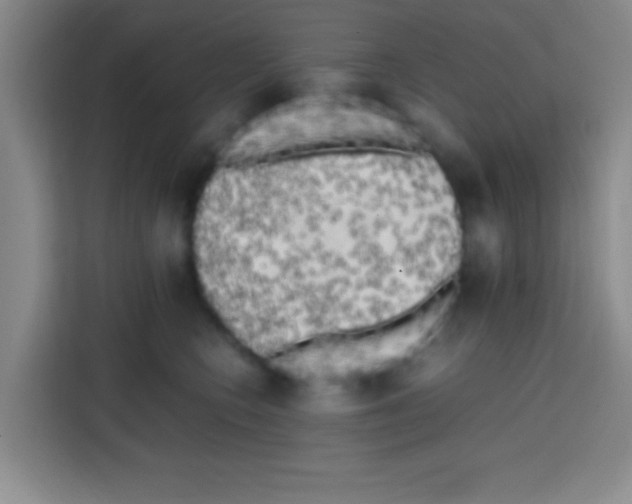 X0000112970566200910081048