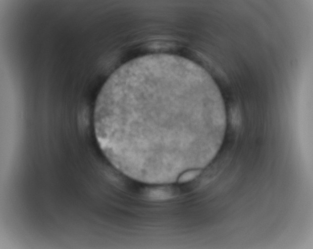 X0000112970567200910081048