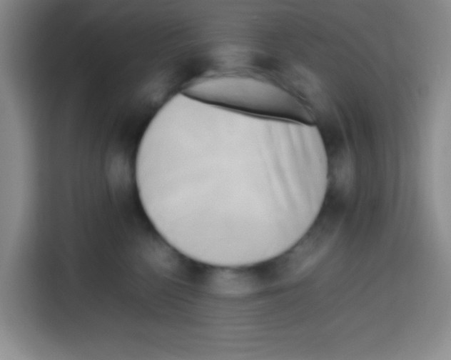 X0000112970568200910081048