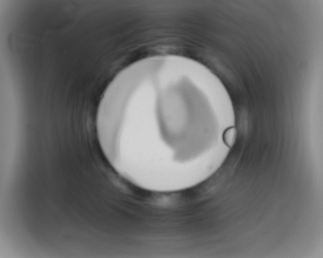 X0000112970569200910081048