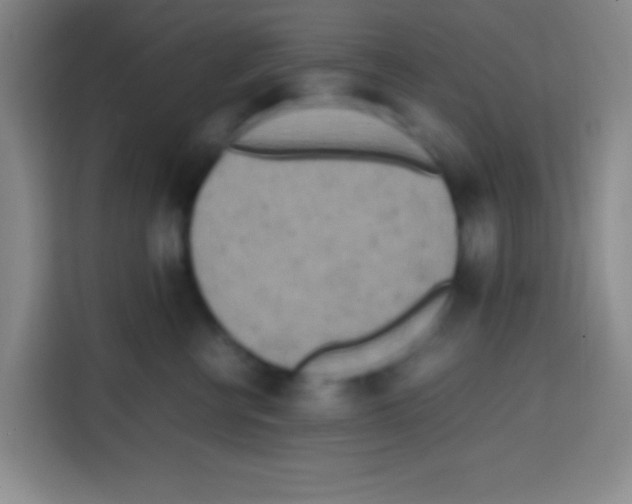 X0000112970570200910081048