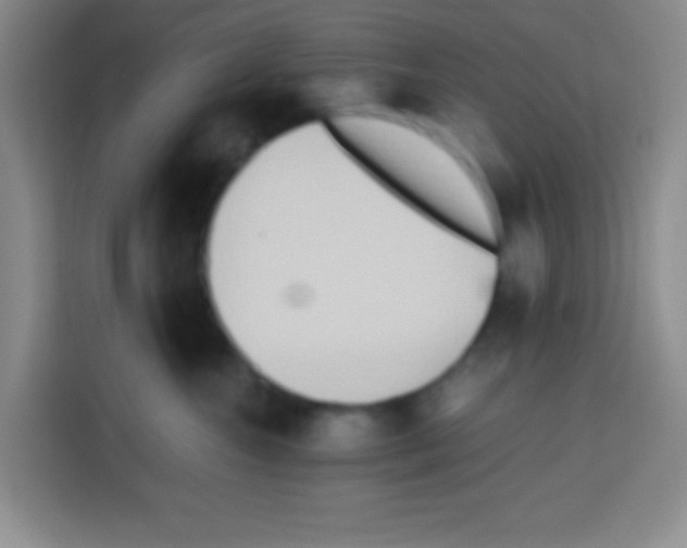 X0000112970572200910081048