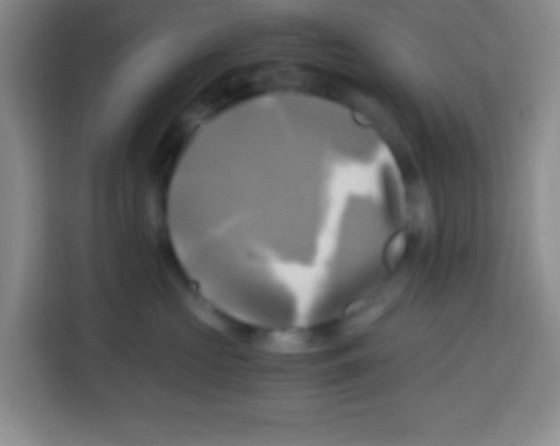 X0000112970573200910081048